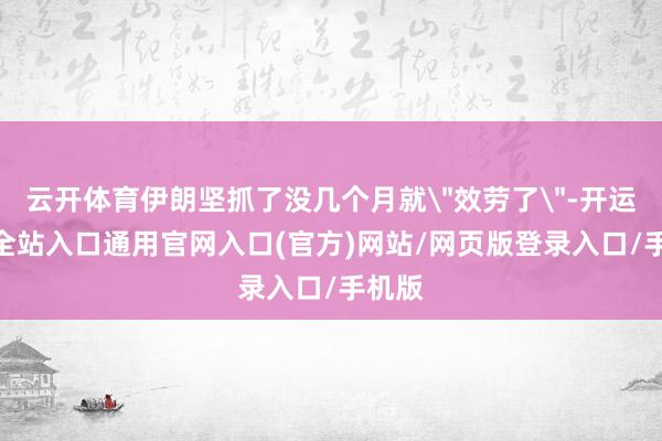 云开体育伊朗坚抓了没几个月就