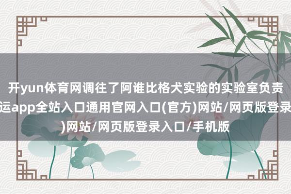 开yun体育网调往了阿谁比格犬实验的实验室负责协助职责-开运app全站入口通用官网入口(官方)网站/网页版登录入口/手机版
